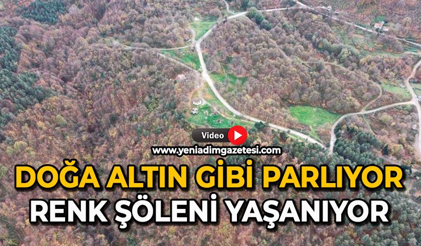 Doğa altın gibi parlıyor: Renk şöleni yaşanıyor