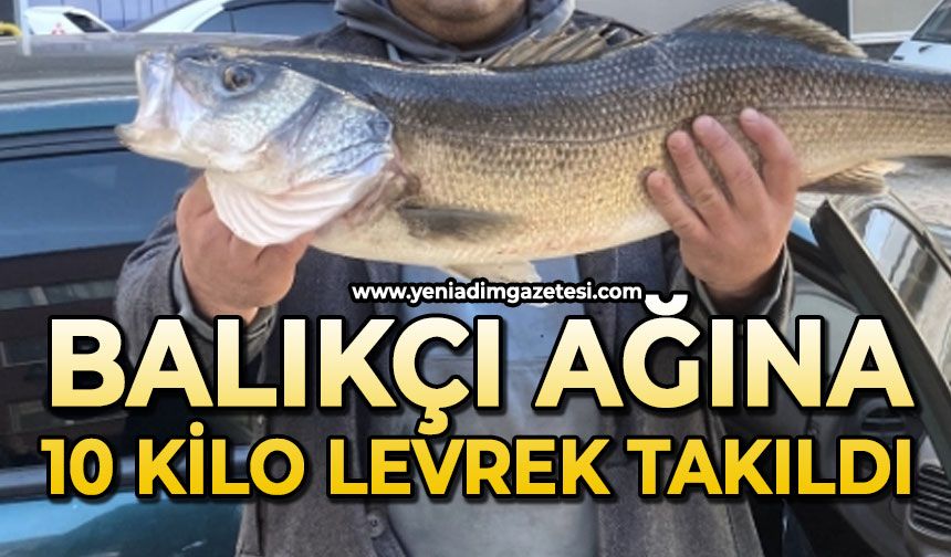 Balıkçı ağına 10 kiloluk levrek takıldı