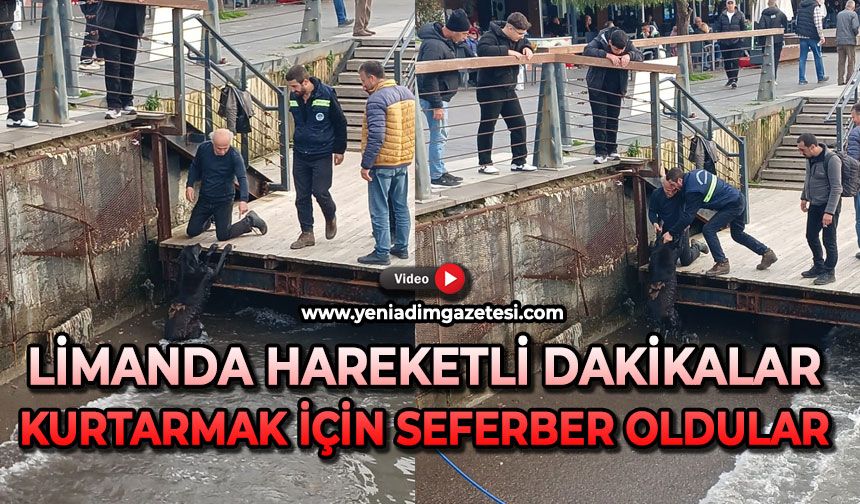 Zonguldak Limanı'nda hareketlilik: Kurtarmak için seferber oldular