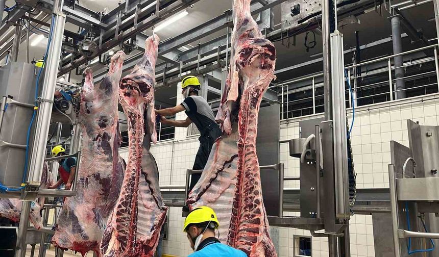 Belediye mezbahasında 6 bin 29 kesim yapıldı