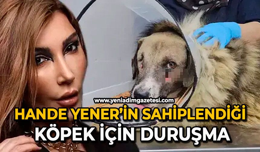 Hande Yener’in sahiplendiği köpek için duruşma