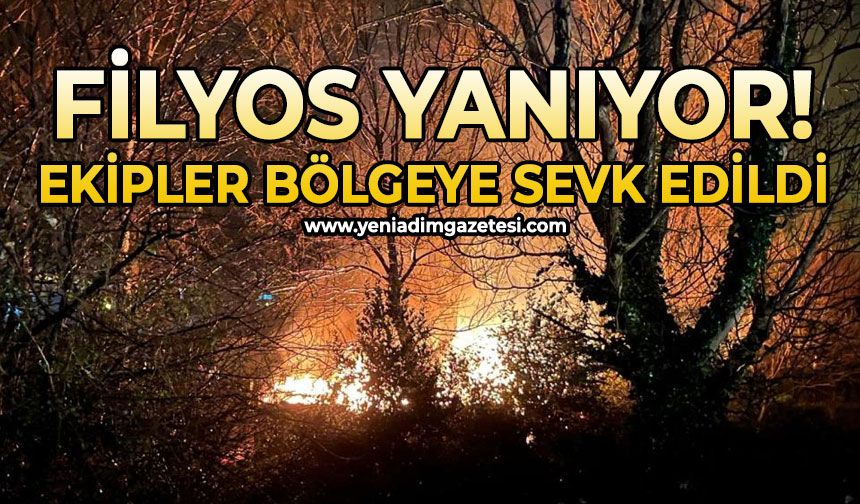 Filyos'ta ağaçlık alanda çıkan yangın korkuttu