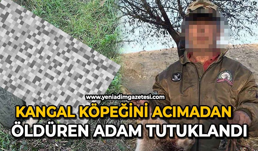 Kangal köpeğini acımadan öldüren adam tutuklandı