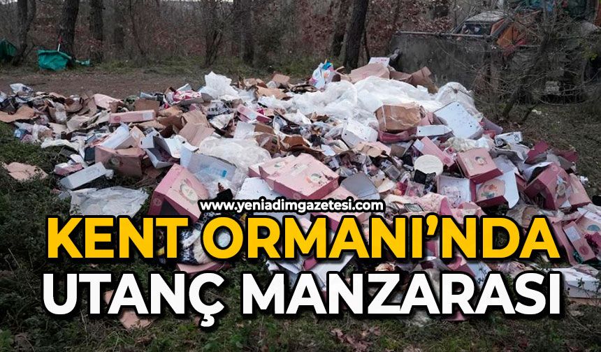 Kent Ormanı’nda utanç manzarası