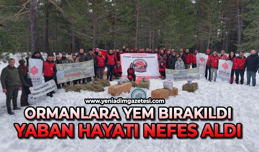 Ormanlara yem bırakıldı: Yaban hayatı nefes aldı