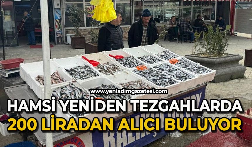 Hamsi yeniden tezgahlarda, 200 liradan alıcı buluyor