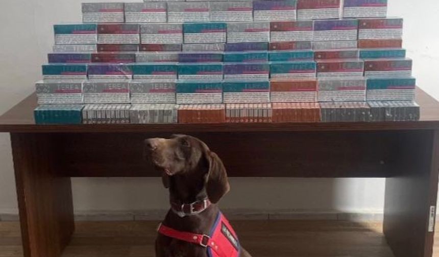 Binlerce elektronik sigara kiti ele geçirildi