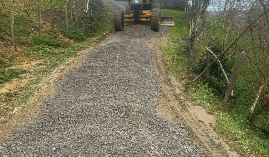 Iğdır köyünde bakım çalışmaları sürüyor