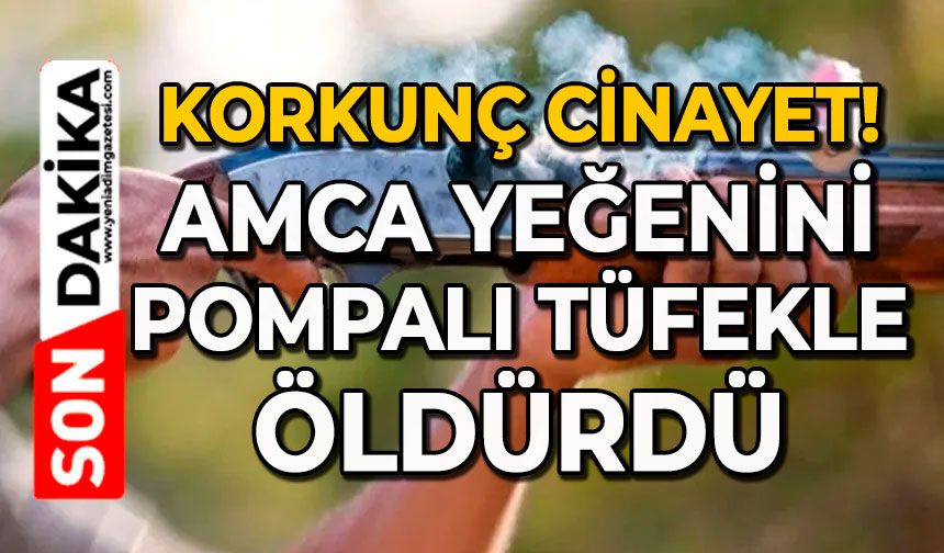 Korkunç cinayet: Amca yeğenini pompalı tüfekle öldürdü