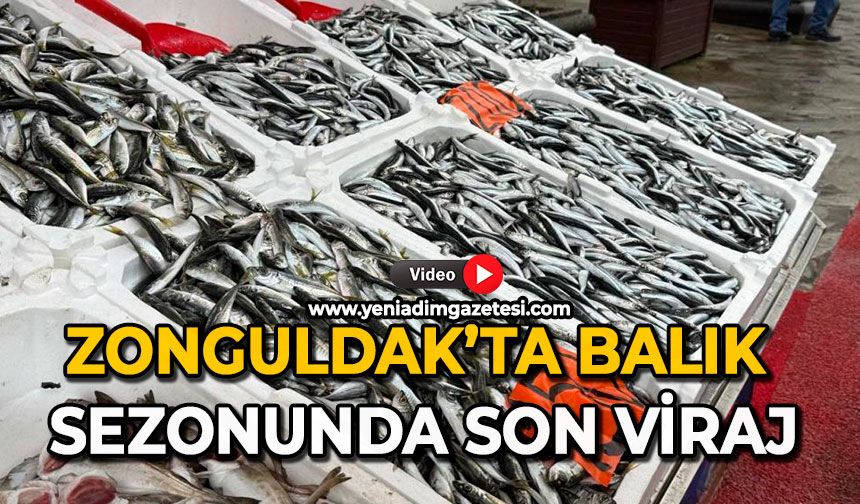 Zonguldak’ta balık sezonunda son viraj