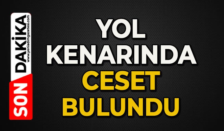 Yol kenarında ölü bulundu