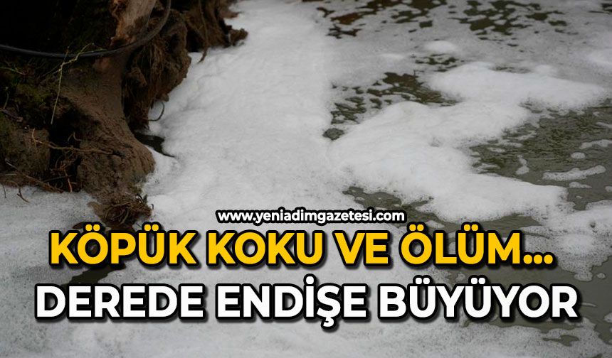 Köpük, koku ve ölüm: Derede endişe büyüyor