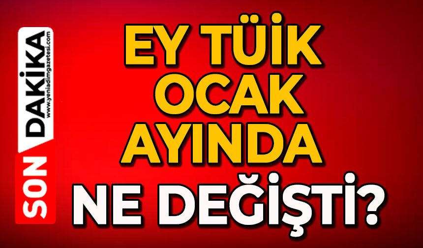 Ey TÜİK, ocak ayında ne değişti?