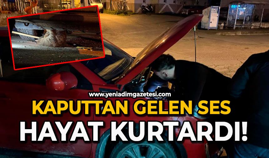 Kaputtan gelen ses hayat kurtardı!