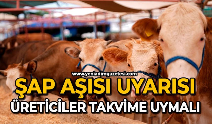 Şap aşısı uyarısı: Üreticiler takvime uymalı