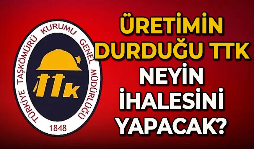 Üretimin durduğu TTK neyin ihalesini yapacak?