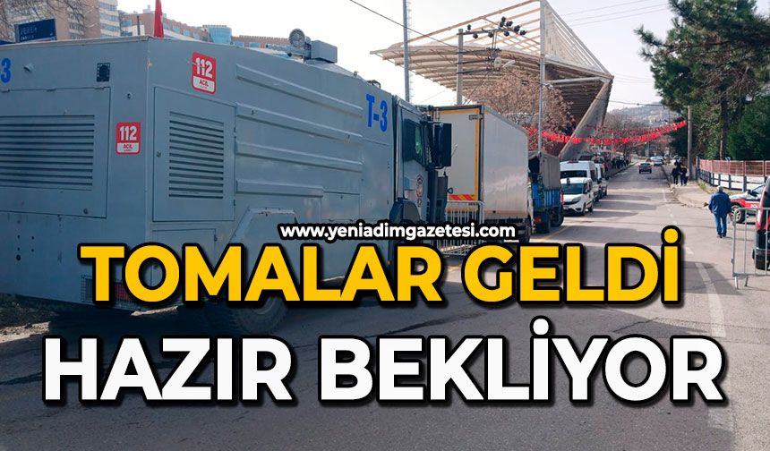 Tomalar geldi: Hazır bekliyor