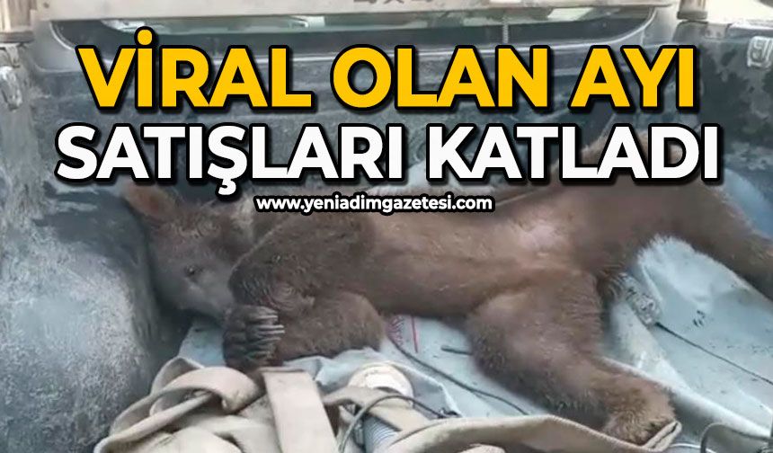 Viral olan ayı, satışları katladı