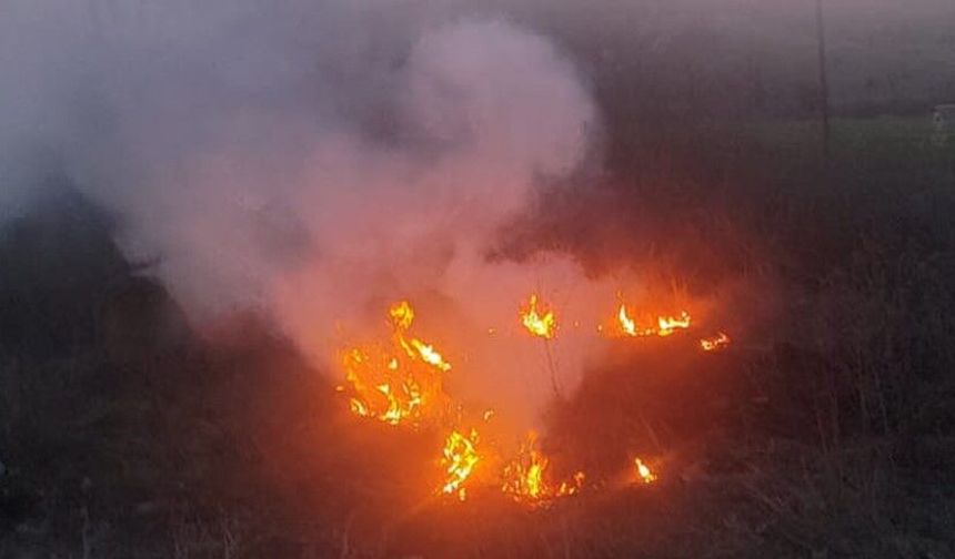 Otluk alanda çıkan yangın büyümeden söndürüldü