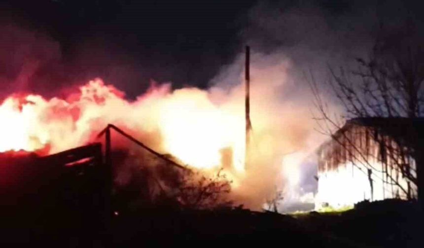 Samanlık ve odunluk yangında küle döndü