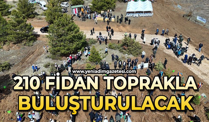 210 bin fidan toprakla buluşturulacak