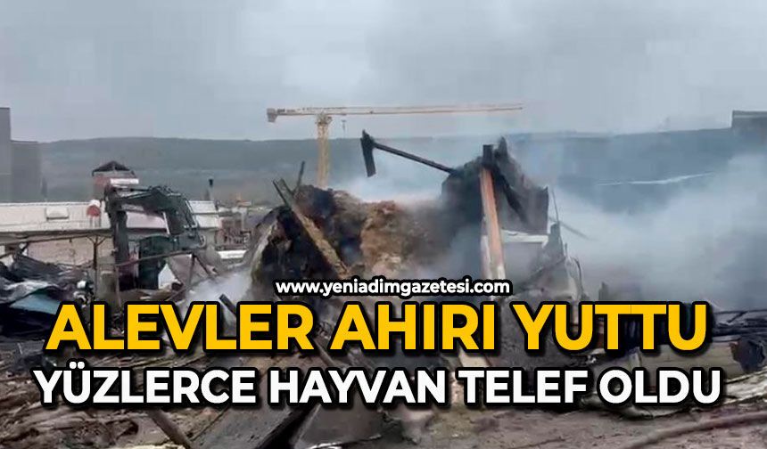 Alevler ahırı yuttu: Yüzlerce hayvan telef oldu