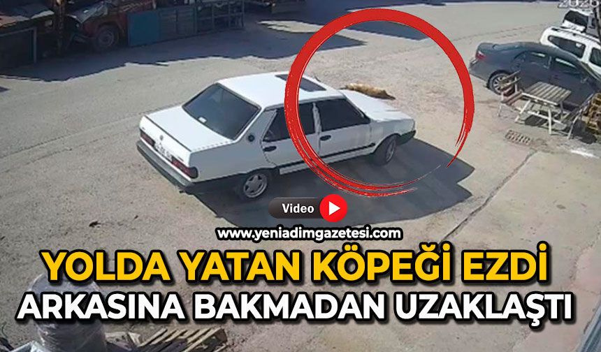 Yolda yatan köpeği ezdi: Arkasına bakmadan uzaklaştı