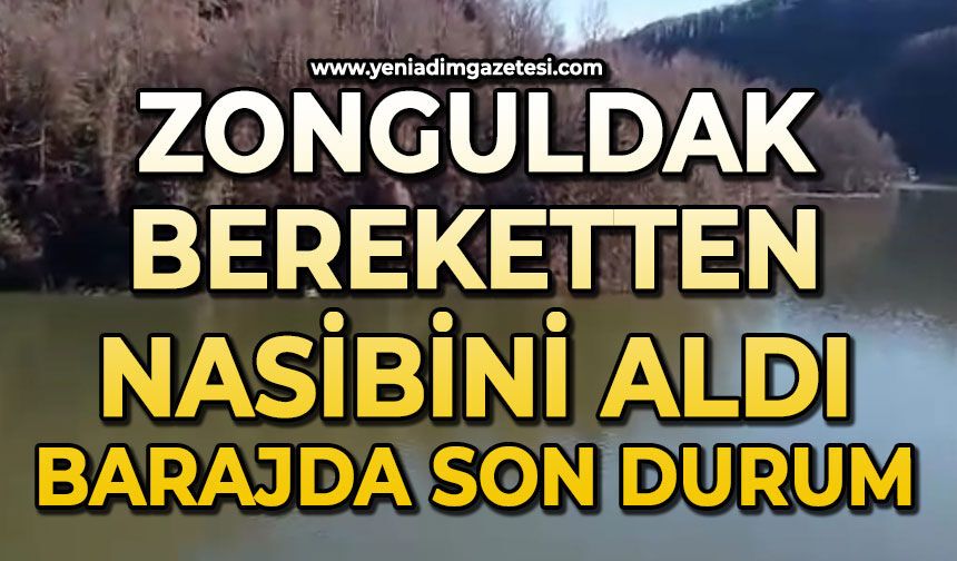 Zonguldak bereketten nasibini aldı
