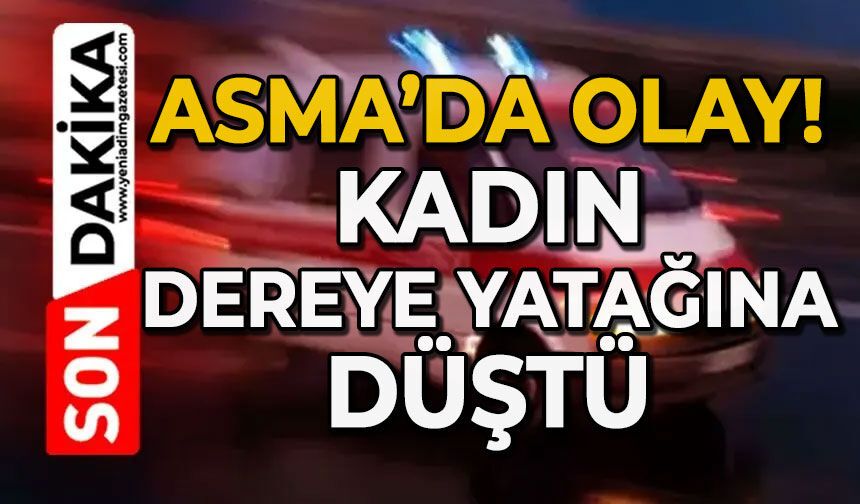 Asma'da olay: Kadın dere yatağına düştü