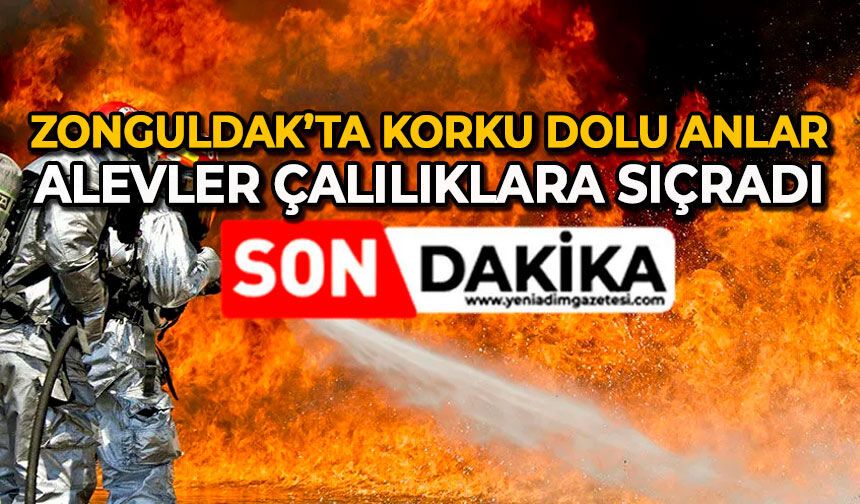Zonguldak’ta korku dolu anlar: Alevler çalılıklara sıçradı