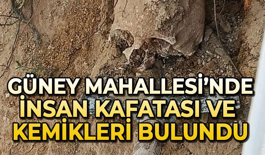 Güney Mahallesi'nde insan kafatası ve kemikler bulundu