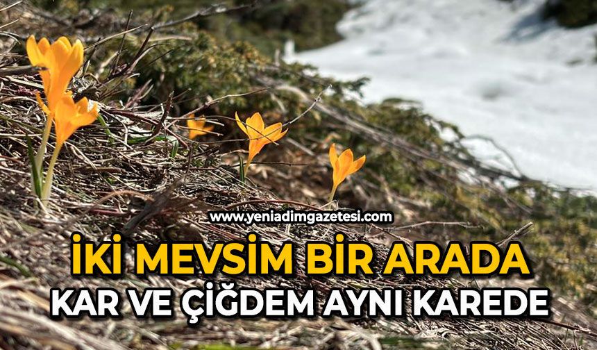İki mevsim bir arada: Kar ve çiğdem aynı karede