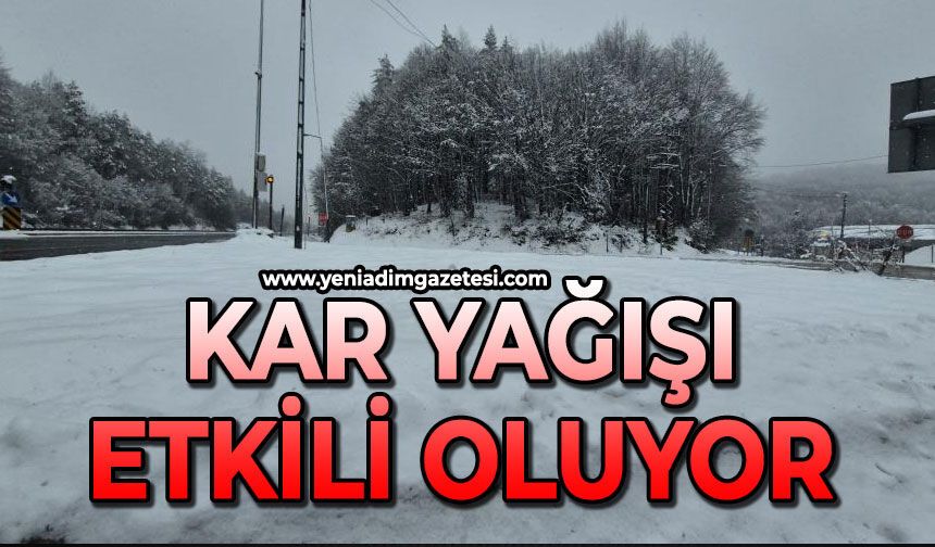 Kar yağışı etkili oluyor