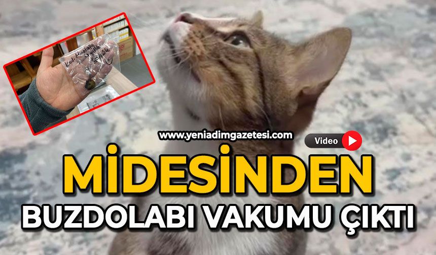 Midesinden buzdolabı vakumu çıktı