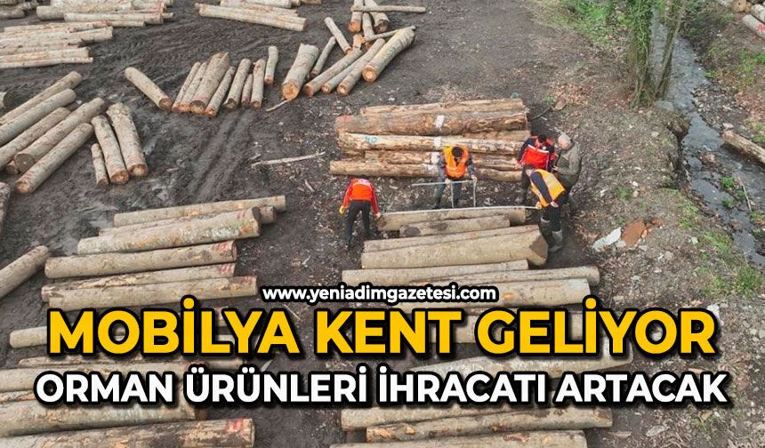 Mobilya kent geliyor: Orman ürünleri ihracatı artacak