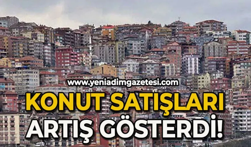 Zonguldak emlak piyasasında Şubat bilançosu açıklandı