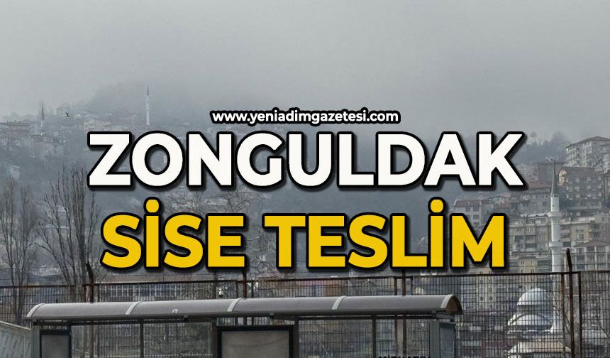 Zonguldak'ta sis etkili oldu