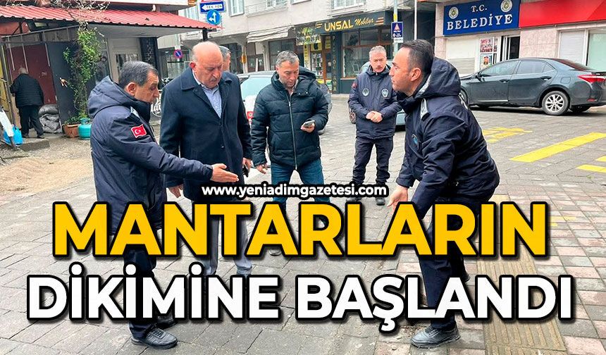 Mantarların dikimine başlandı