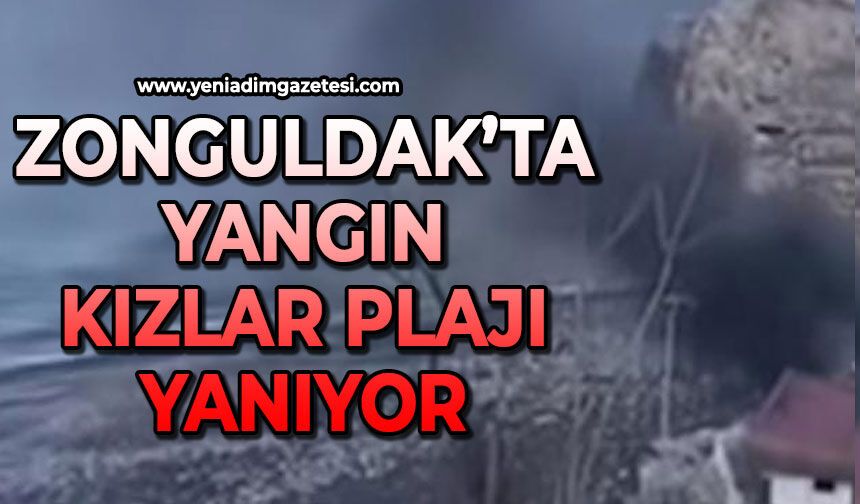 Zonguldak’ta yangın: Kızlar Plajı yanıyor
