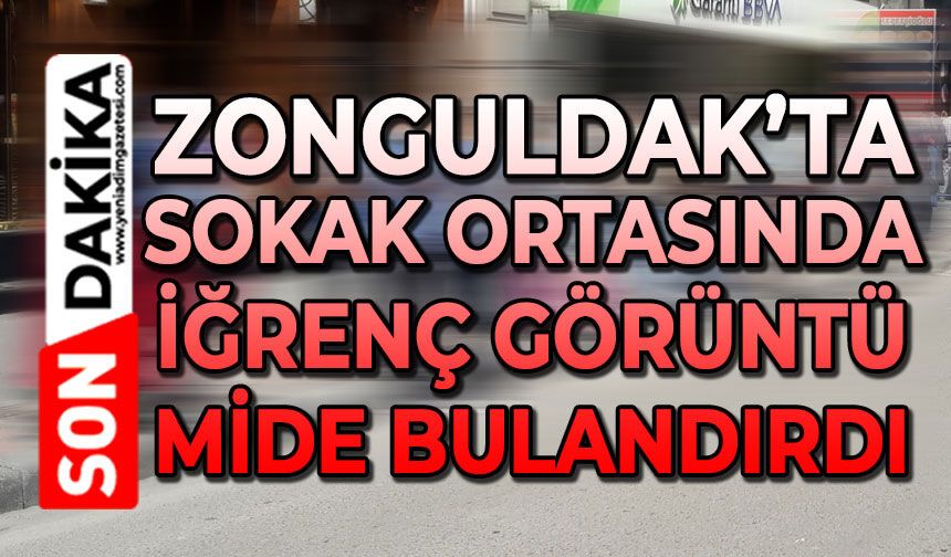 Zonguldak'ta sokakta iğrenç görüntüler mide bulandırdı!