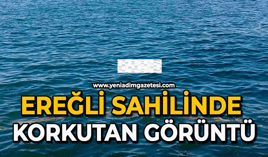 Ereğli sahilinde korkutan görüntü