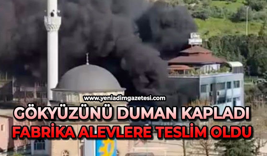 Gökyüzünü duman kapladı: Plastik fabrikası alevlere teslim oldu