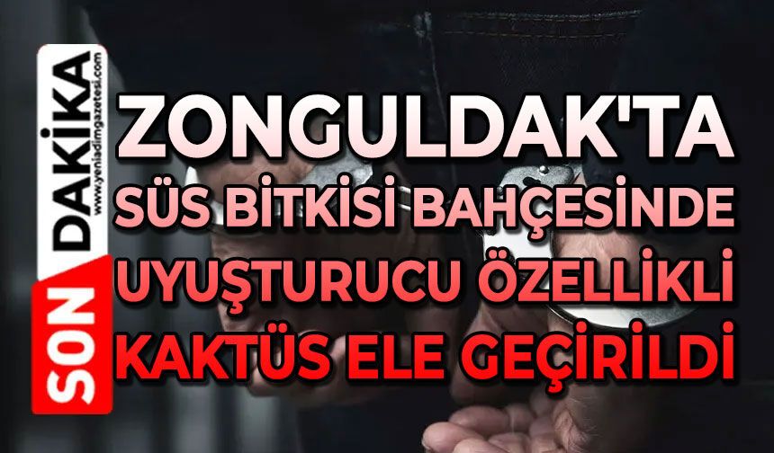 Zonguldak'ta süs bitkisi bahçesinde uyuşturucu özellikli kaktüs ele geçirildi