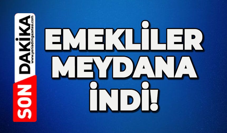 Emekliler meydana indi