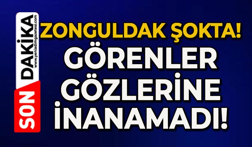 Zonguldak şokta: Görenler gözlerine inanamadı!