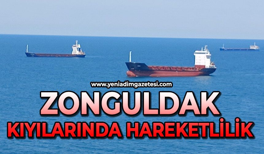 Zonguldak kıyılarında hareketlilik
