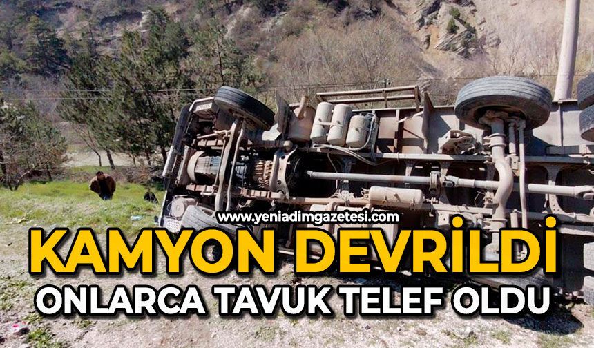 Kamyon devrildi: Onlarca tavuk telef oldu