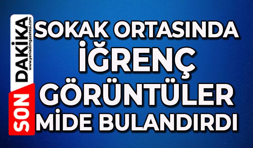Sokak ortasında iğrenç görüntüler mide bulandırdı
