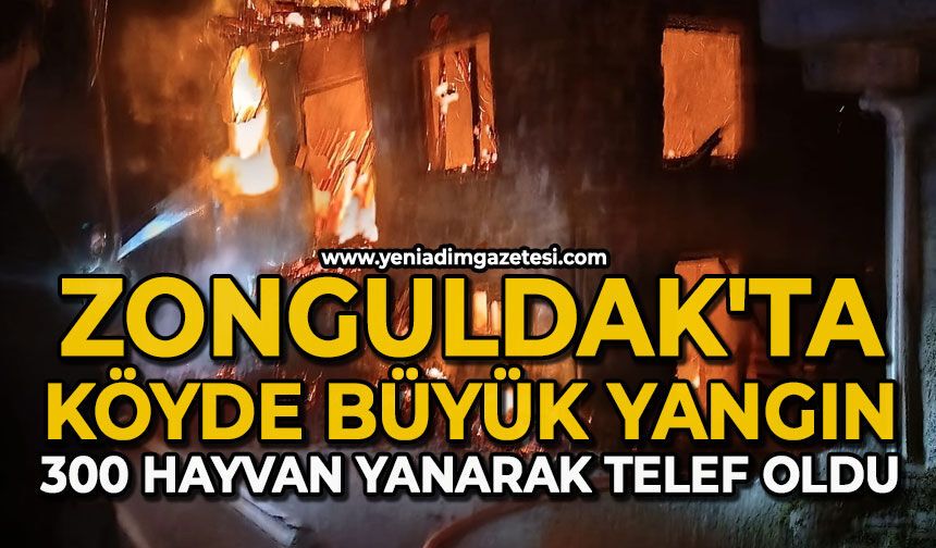 Zonguldak'ta köyde büyük yangın: 300 hayvan yanarak telef oldu