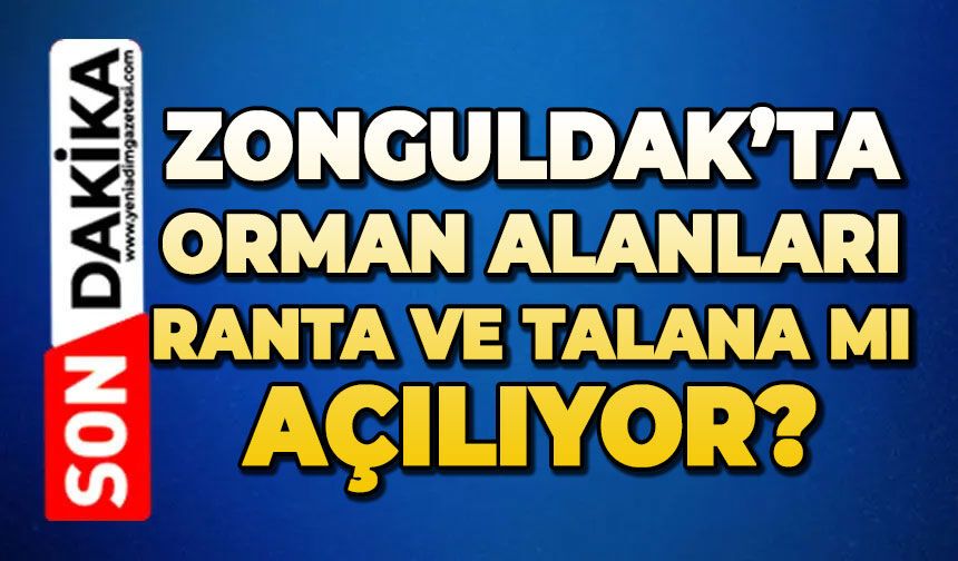 Zonguldak’ta orman alanları ranta ve talana mı açılıyor?